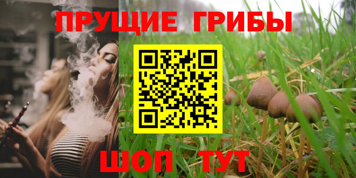 Ревда  Галлюциногенные грибы мухоморы  Псилоцибиновые грибы мицелий  Вход с VPN 